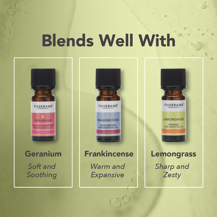 Tisserand Patchouli Organic Pure Essential Oil 9ml | Holland & Barrett